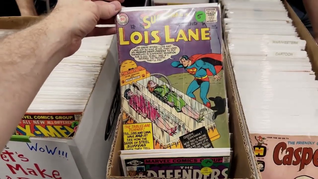 Hunting For Comic Books at The Brooklyn Comic Invasion New York Comic Con