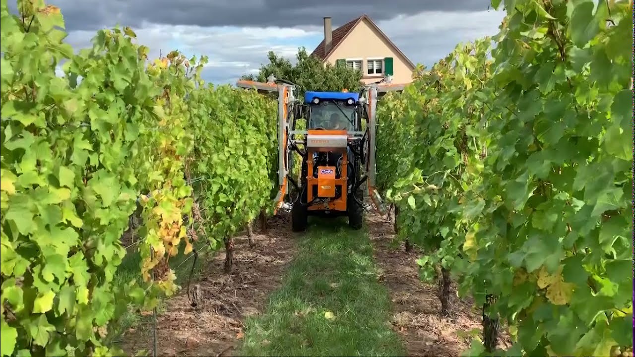 Provitis - Présentation des différentes machines