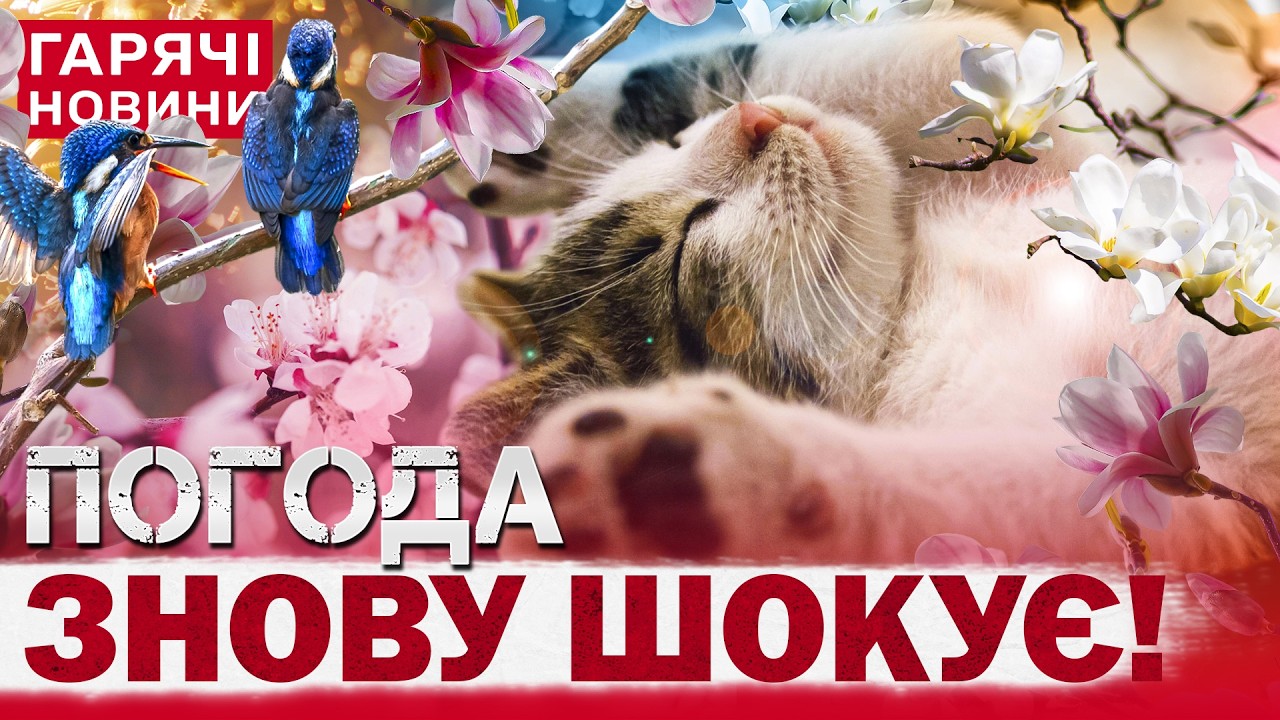 ПРОГНОЗ ПОГОДИ НА 5 БЕРЕЗНЯ: ЦЕ ВРАЖАЄ! МЕМ ДНЯ! ЯКЕ СЬОГОДНІ СВЯТО?