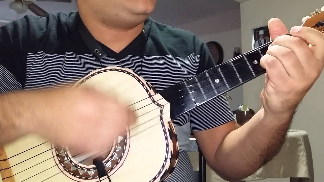 Y Luis Miguel(Vihuela Tutorial)