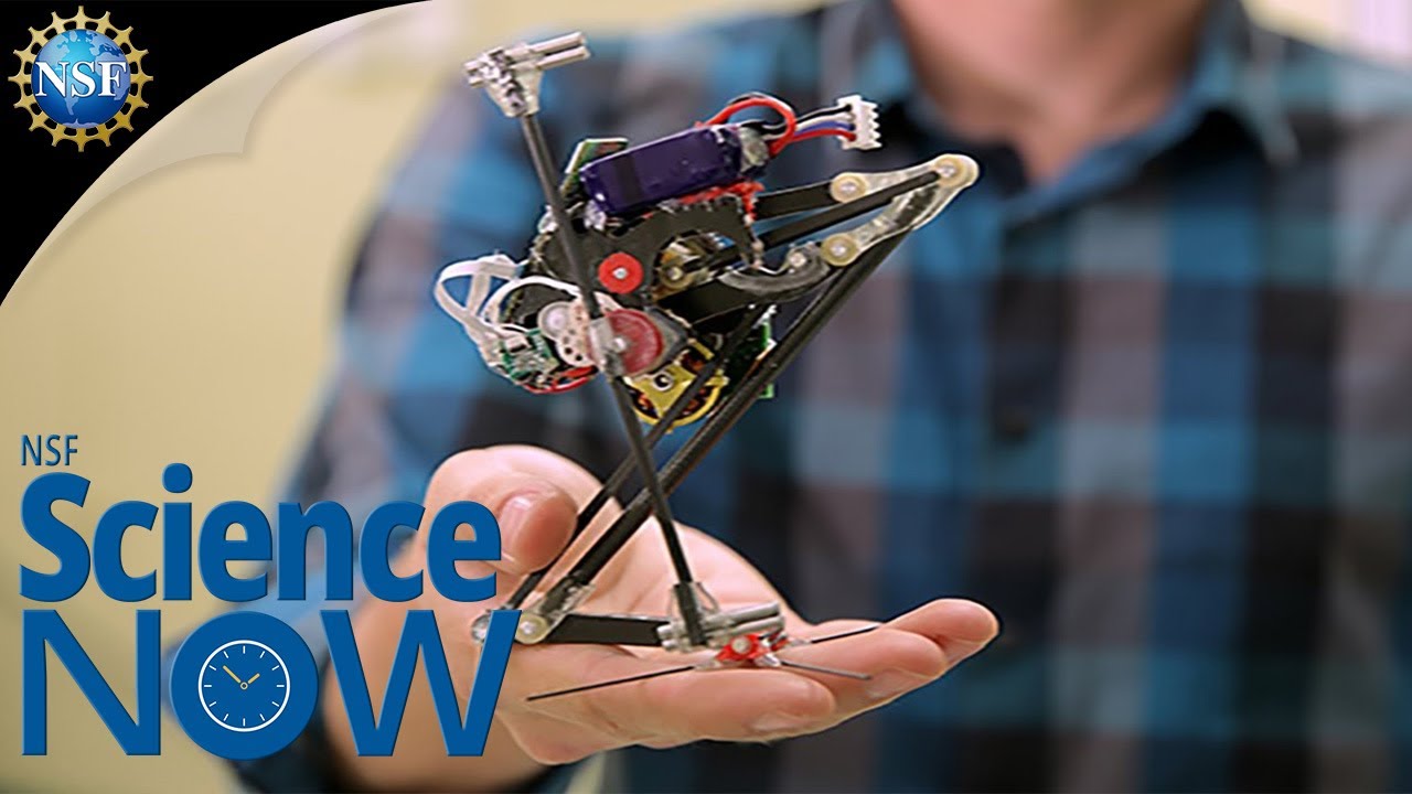 Jumping Robots & Nuclear Material 🤖 | NSF Science Now