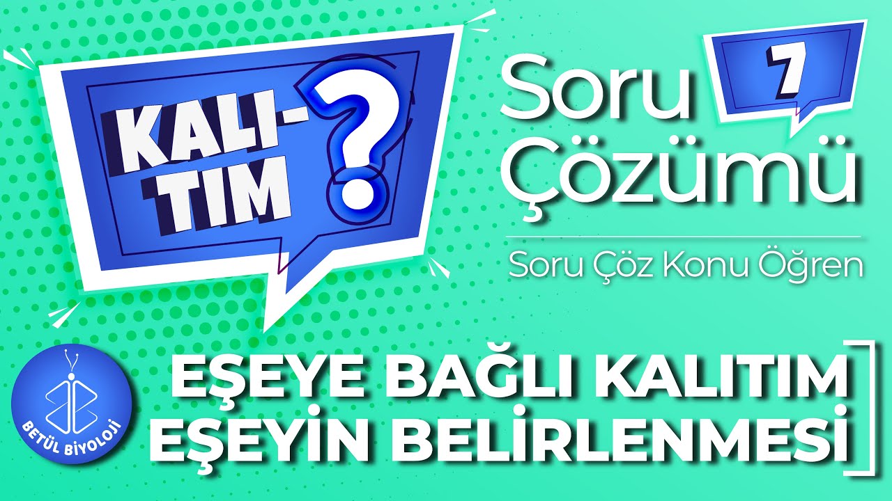 Kalıtım Soru Çözümü #7 | Eşeye Bağlı Kalıtım | Eşeyin Belirlenmesi | Soru Çöz Konu Öğren | TYT