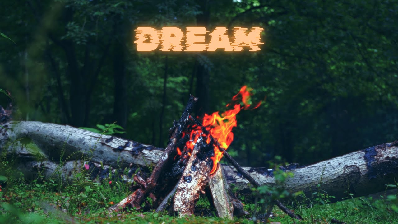 Dream Forest Sleep - 4k 🔥
