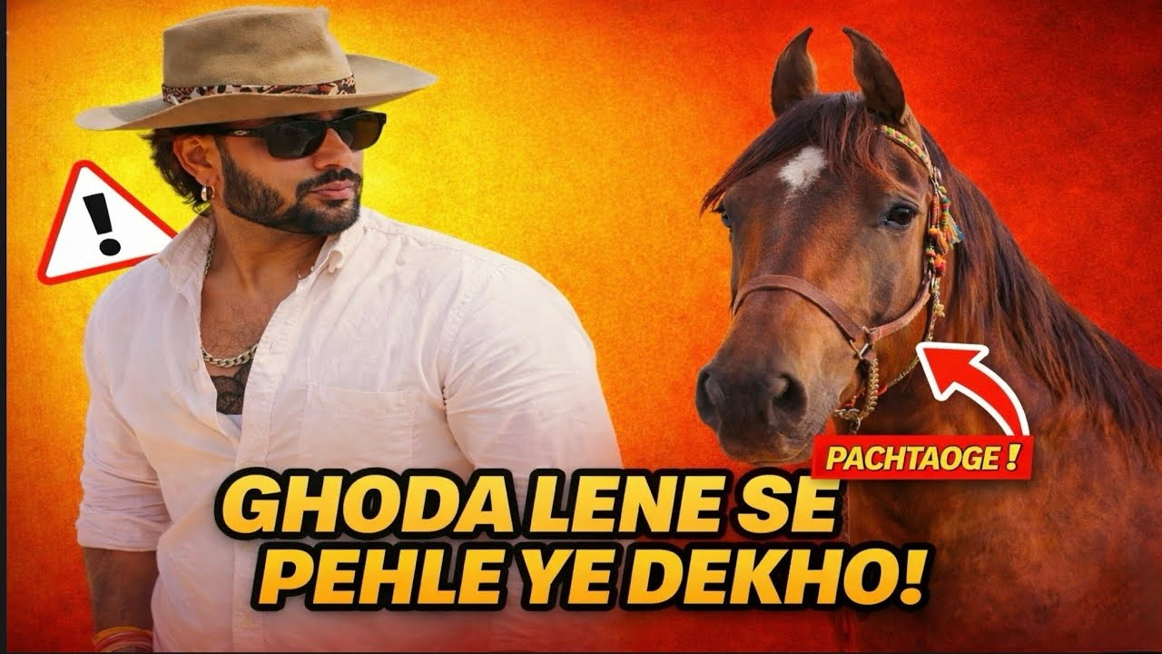 Ghoda Lena Hai? 🐎 Pehle YE Dekhna Nahi Seekha To Paisa Doobega / #ghoda #marwarihorse 