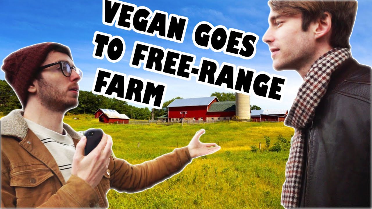 Vegan Frustrates Public at Free-Range Farm