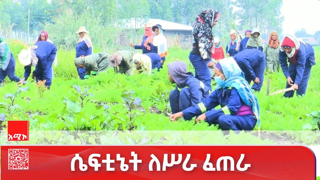 በደብረ ብርሃን ከተማ እየተተገበረ የሚገኘው የሴፍቲኔት ፕሮግራም ለበርካታ የከተማዋ ነዋሪዎች ሥራን በመፍጠር የተሻለ  ገቢ እንዲኖራቸው አድርጓል።