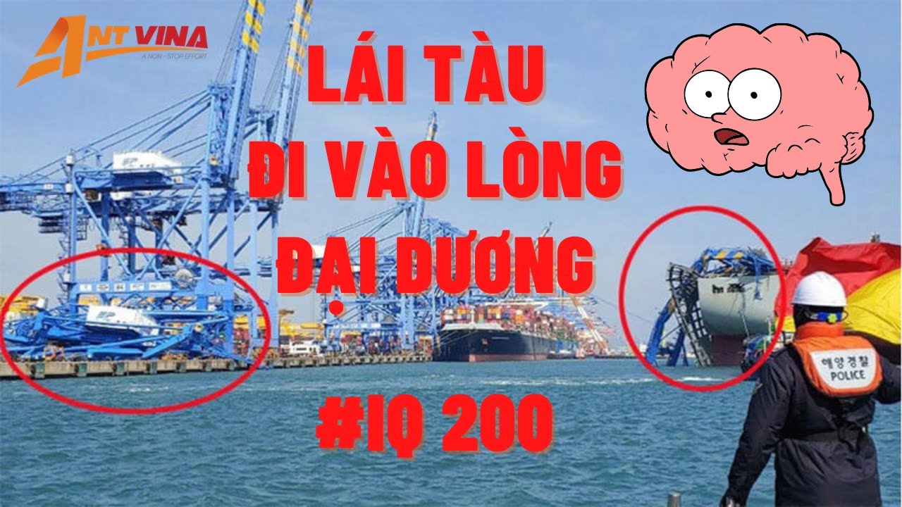 Tổng hợp những PHA XỬ L&Yacute; đi V&Agrave;O L&Ograve;NG ĐẠI DƯƠNG của L&Aacute;I T&Agrave;U
