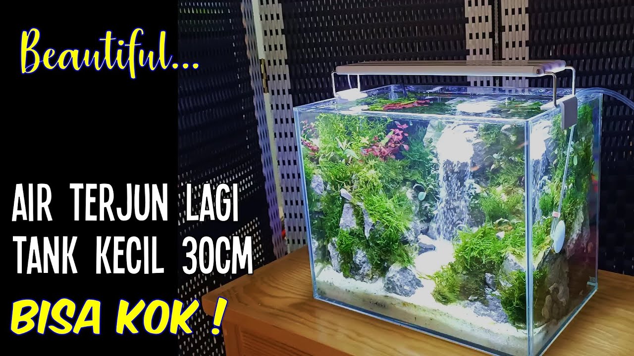 Membuat Aquascape Air Terjun di Tank Mini 30cm