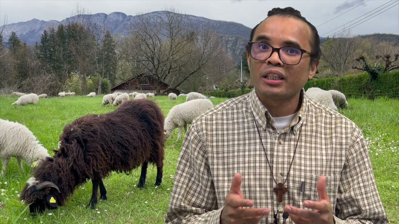 Homélie du père Jean Pierre 4ème dimanche de Pâques 2024