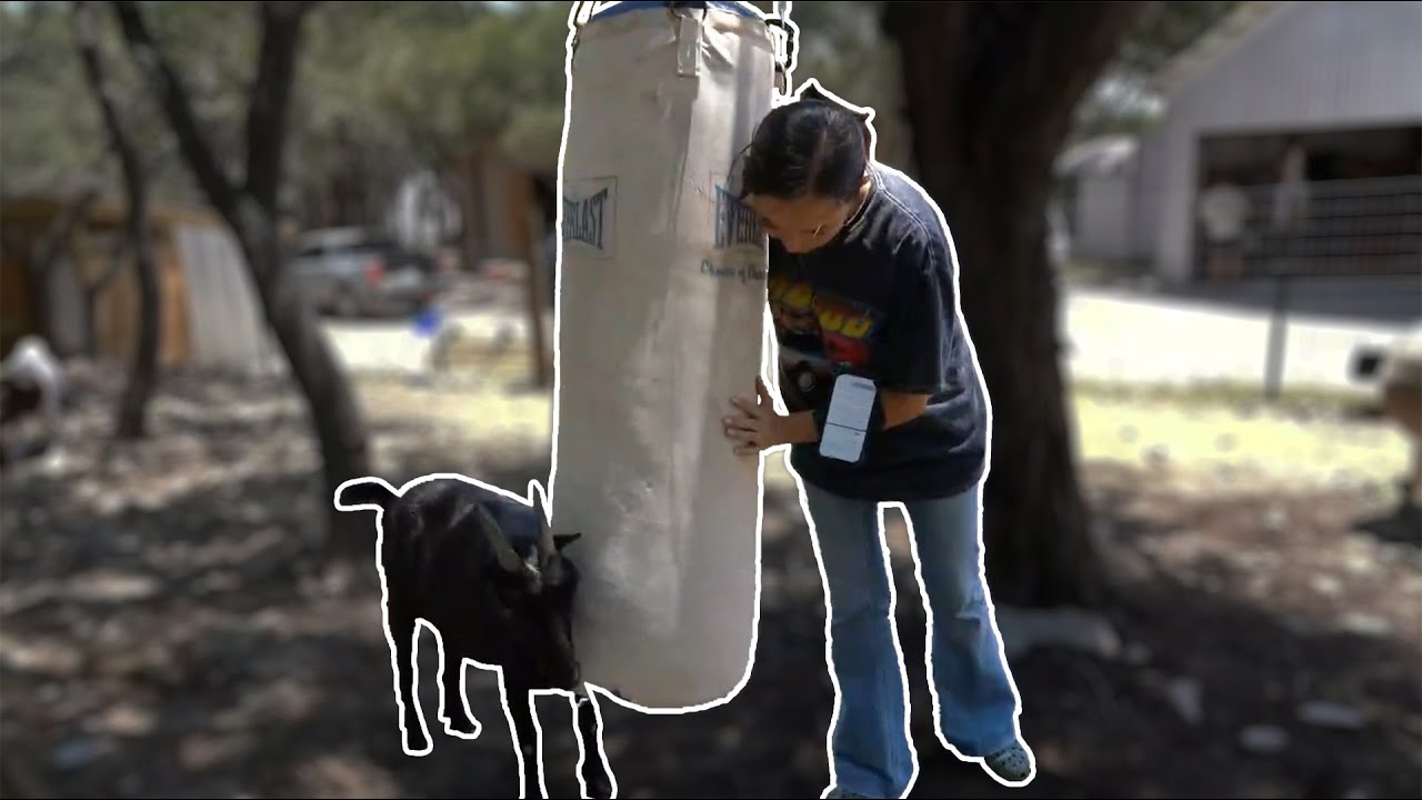 Giving My Goats A Punching Bag - 5/15/24