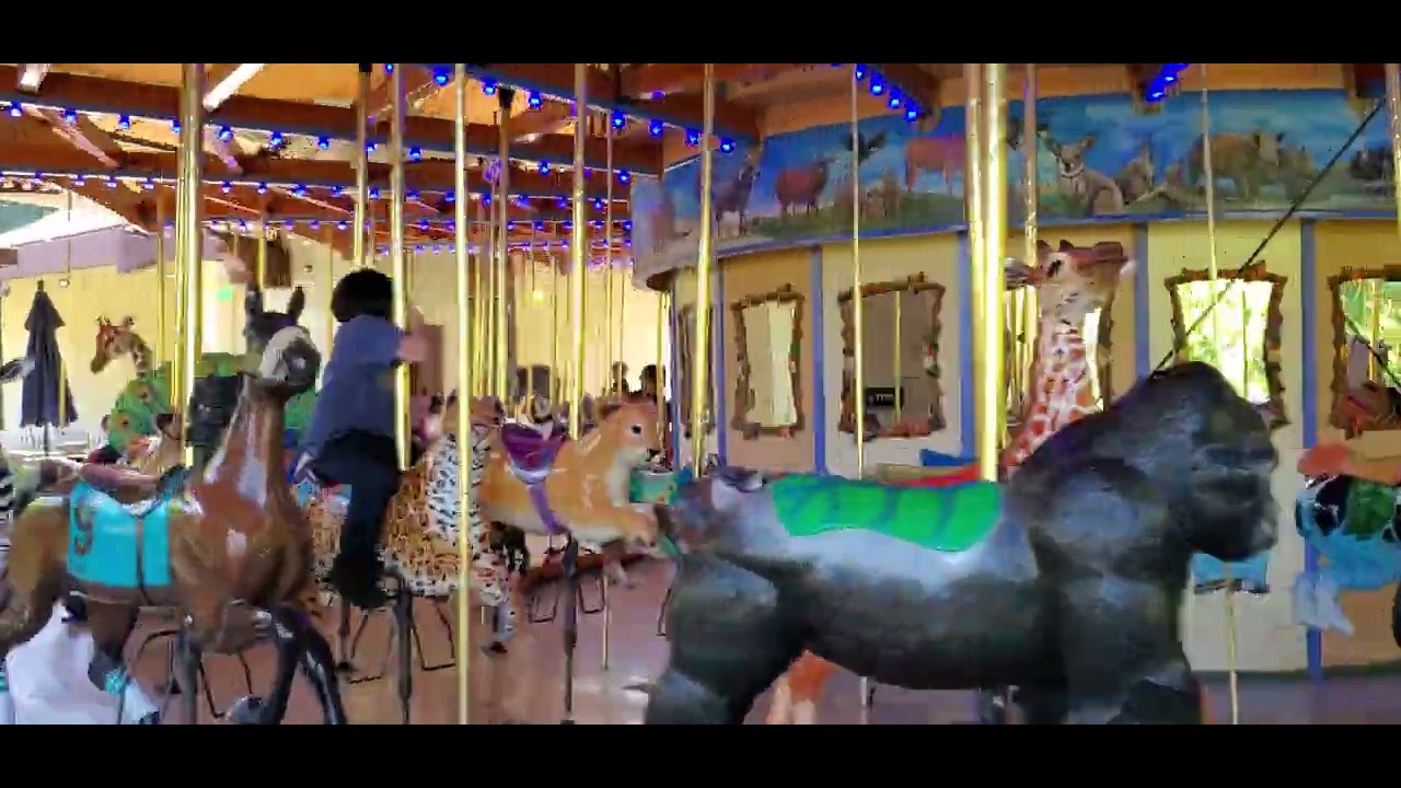 Aug. 5, 2019 Riding the Carousel at the LA Zoo.