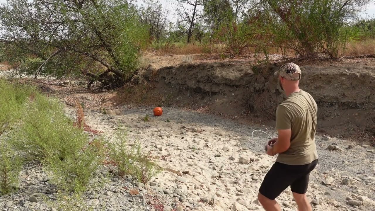 More pumpkin destruction