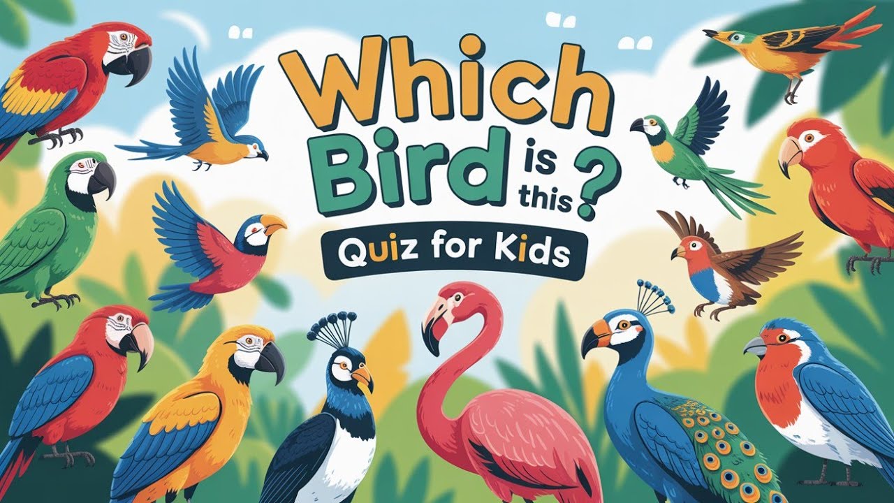 Guess The Birds Name | Birds Quiz For Toddlers | Quiz For Kids | Preschool Learning| @abckidscampus 