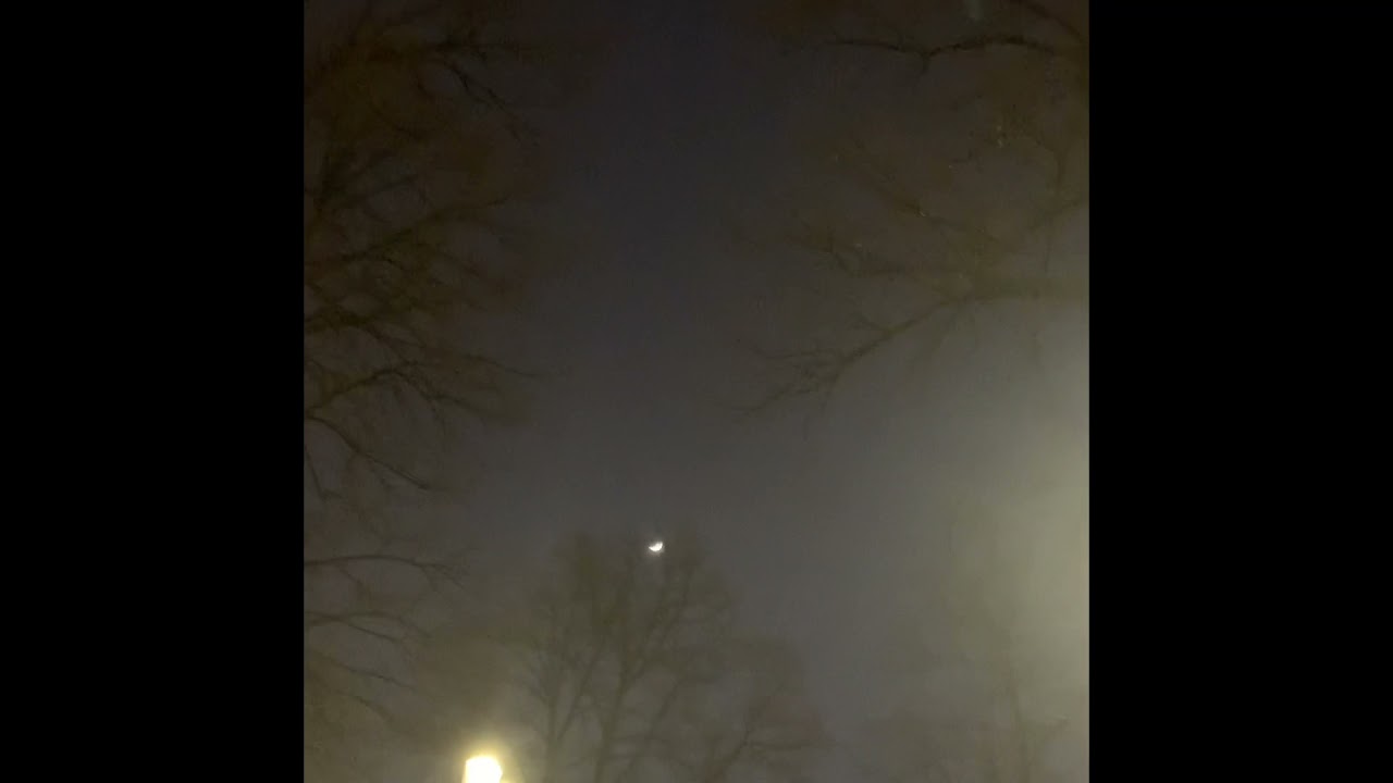Голядкин