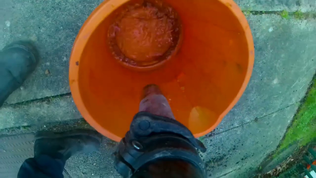 Wells, Hartley and Regis Houses Hedgehog Brush removal and Gutter Cleaning