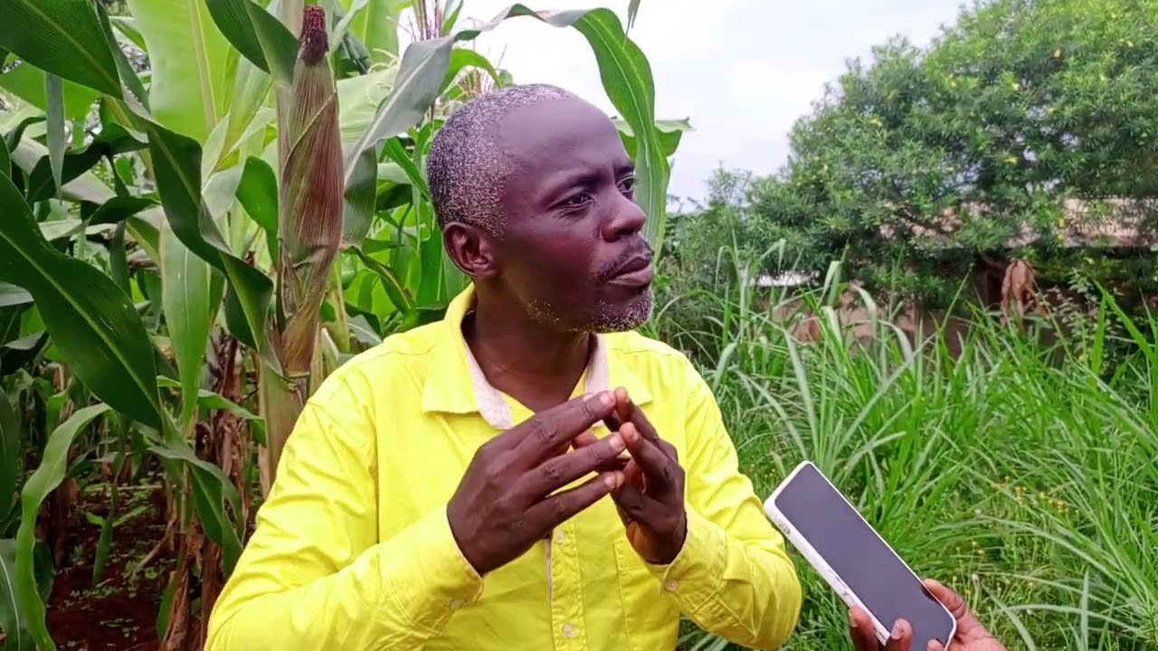 I will be forced 2 do my own campaigns if chaos continue Butiru MP Aspirant Kefa Mafumo 