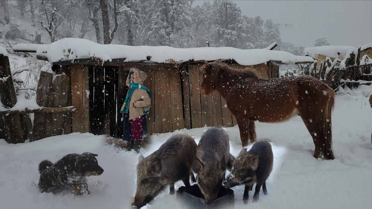 Beautiful life in a peaceful area, beautiful view with snow