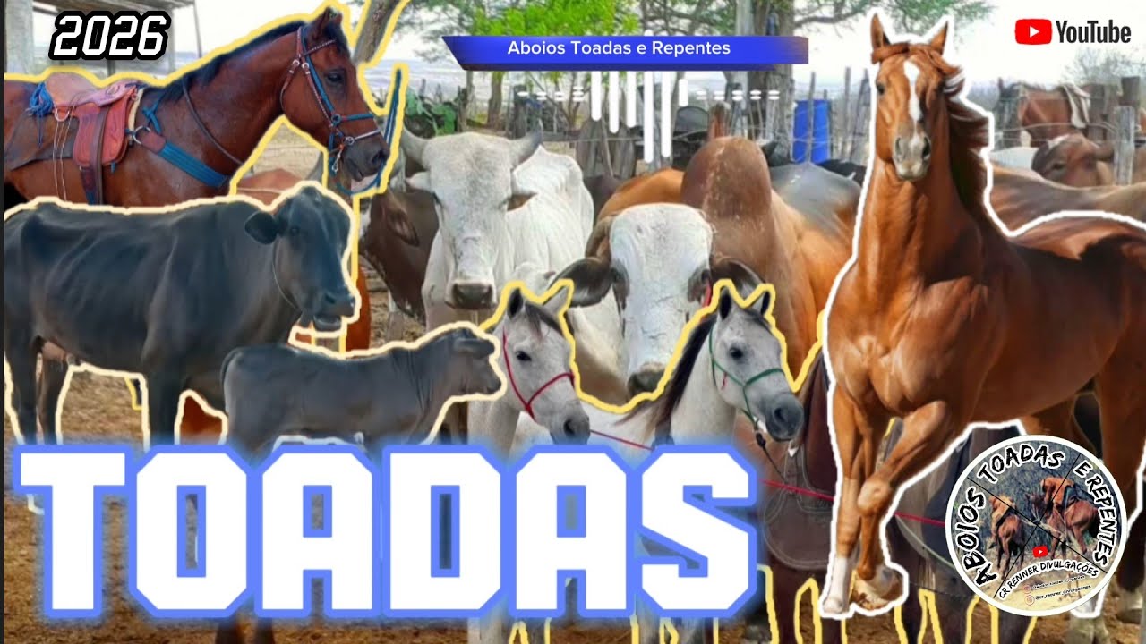 Toadas Cavalos Mansos, & Gado Brabo do Sertão  - Aboios Toadas e Repentes 2026