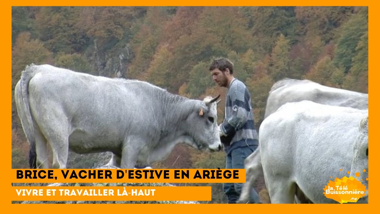 Brice, vacher d'estive en ariège {Vivre et travailler là-haut}