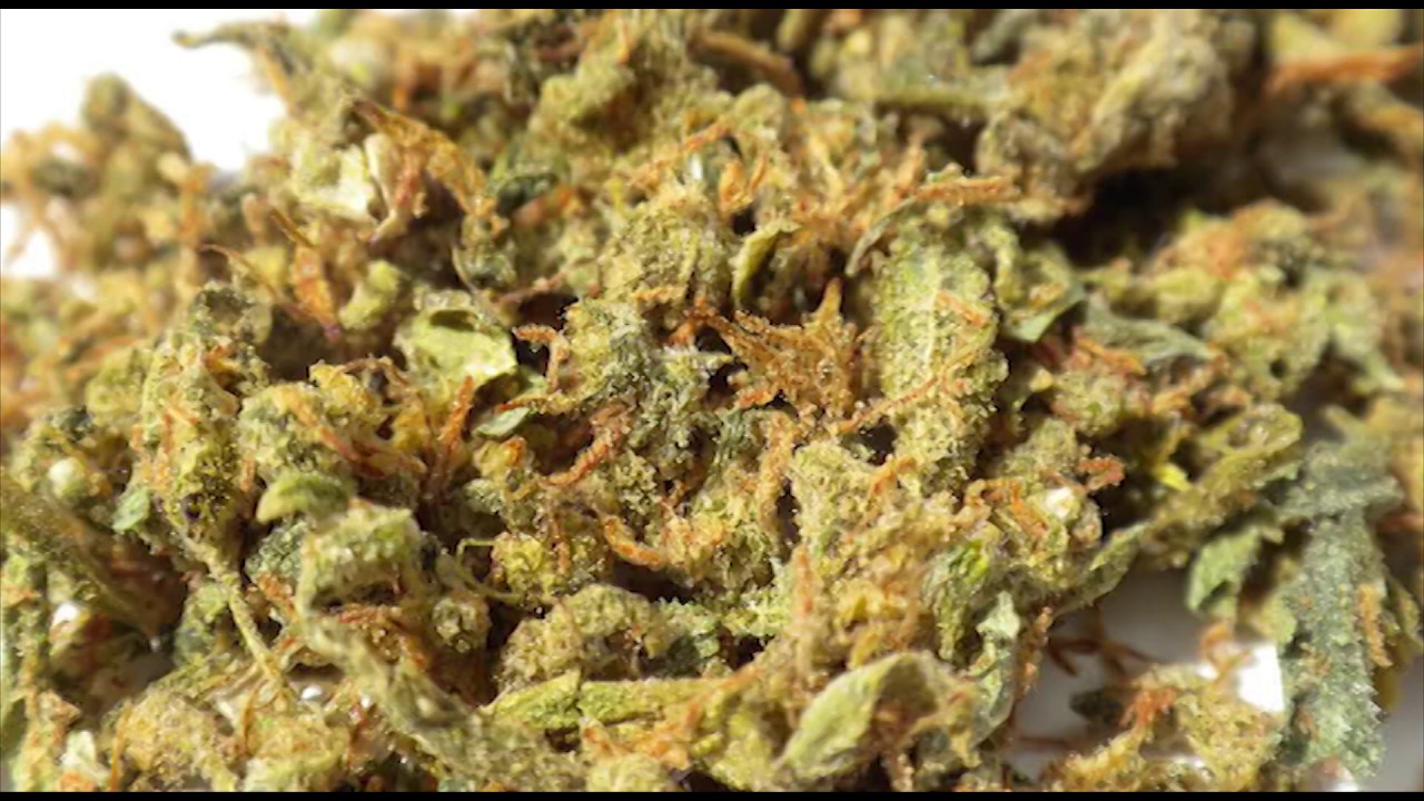 5 rare cannabis(Weed) strains you might never come across