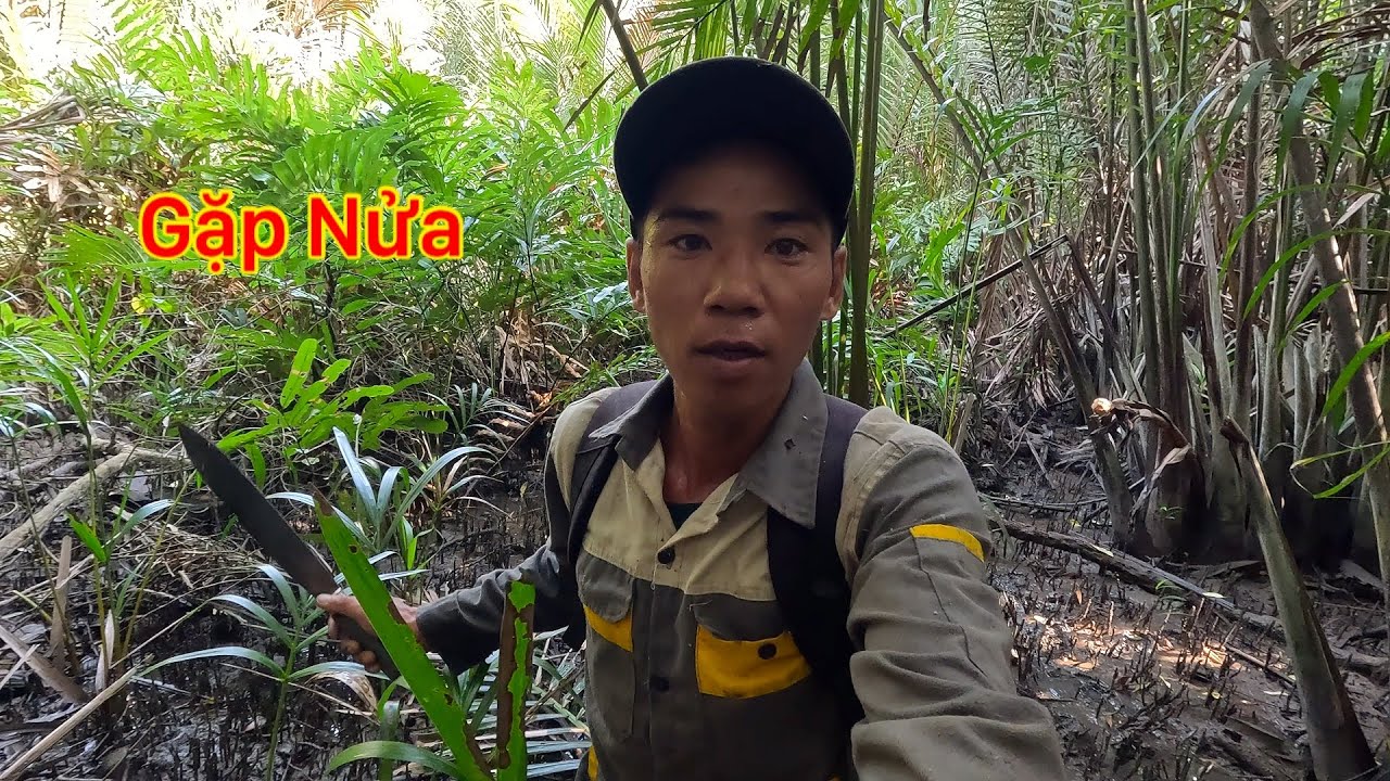 MỚI BƯỚC CHÂN VÀO ĐÃ THẤY EM NÓ MỘT NGÀY SĂN BẮT TRONG RỪNG