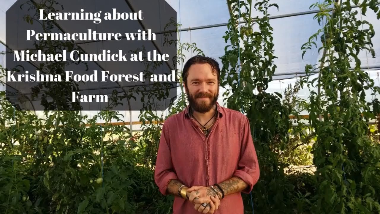 Learning about Permaculture with Michael Cundick at the Krishna Food Forest and Farm