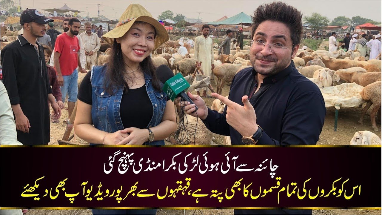 چائنہ سے آئی ہوئی لڑکی بکرا منڈی پہنچ گئی، اس کو بکروں کی تمام قسموں کا بھی پتہ ہے۔۔۔