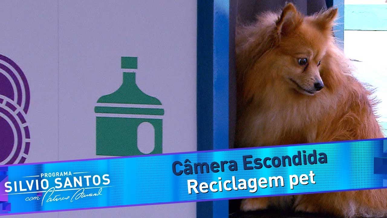 Reciclagem Pet | C&acirc;meras Escondidas (02/04/23)