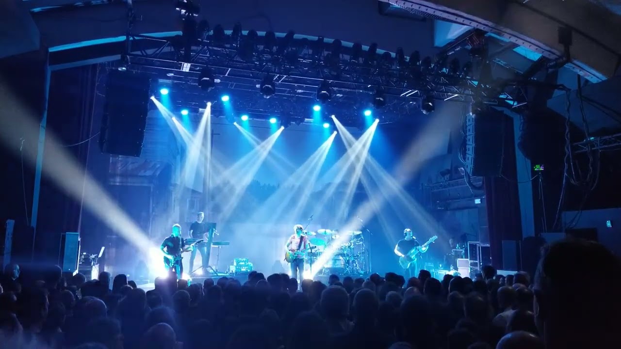 Pineapple thief 