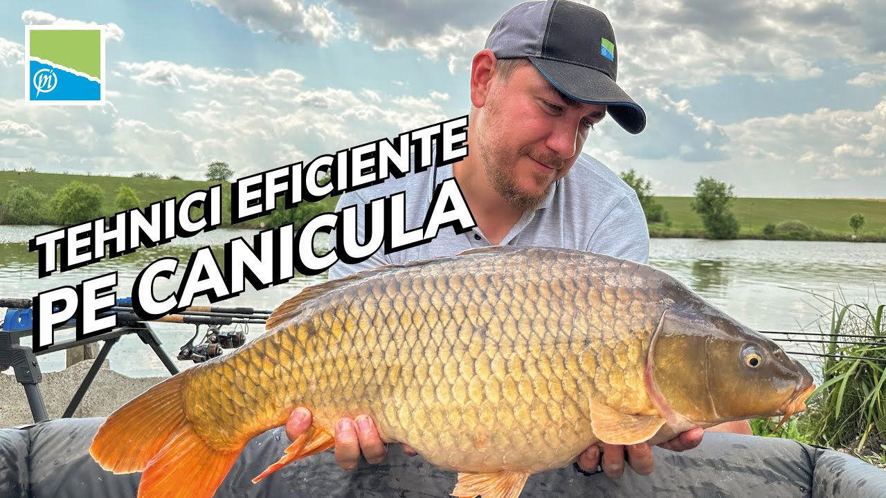Lovitura Perfectă: Pescuitul la Feeder în Zilele Caniculare