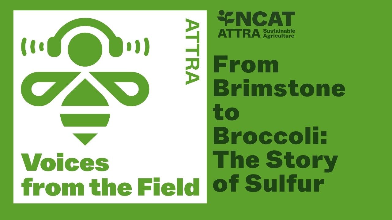 From Brimstone to Broccoli: The Story of Sulfur