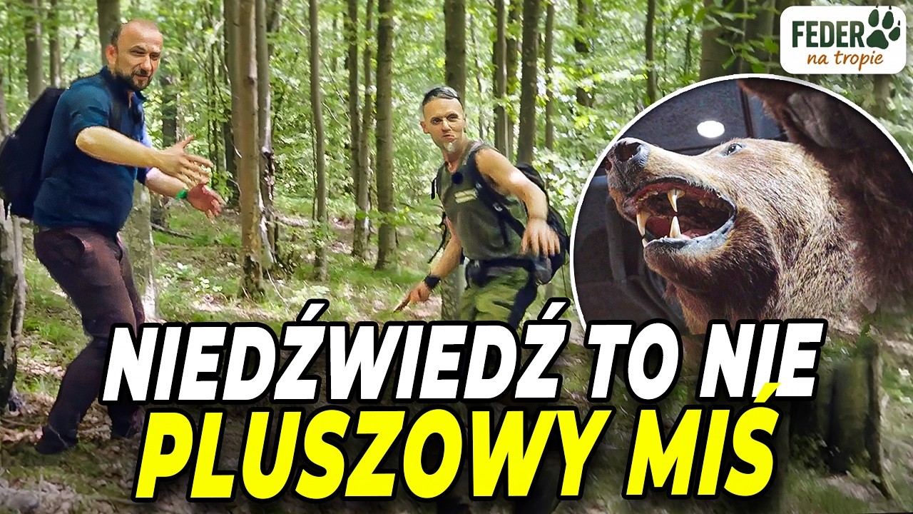 Człowiek kontra NIEDŹWIEDŹ! DRAPIEŻNIK to nie pluszowy MIŚ! | FEDER NA TROPIE