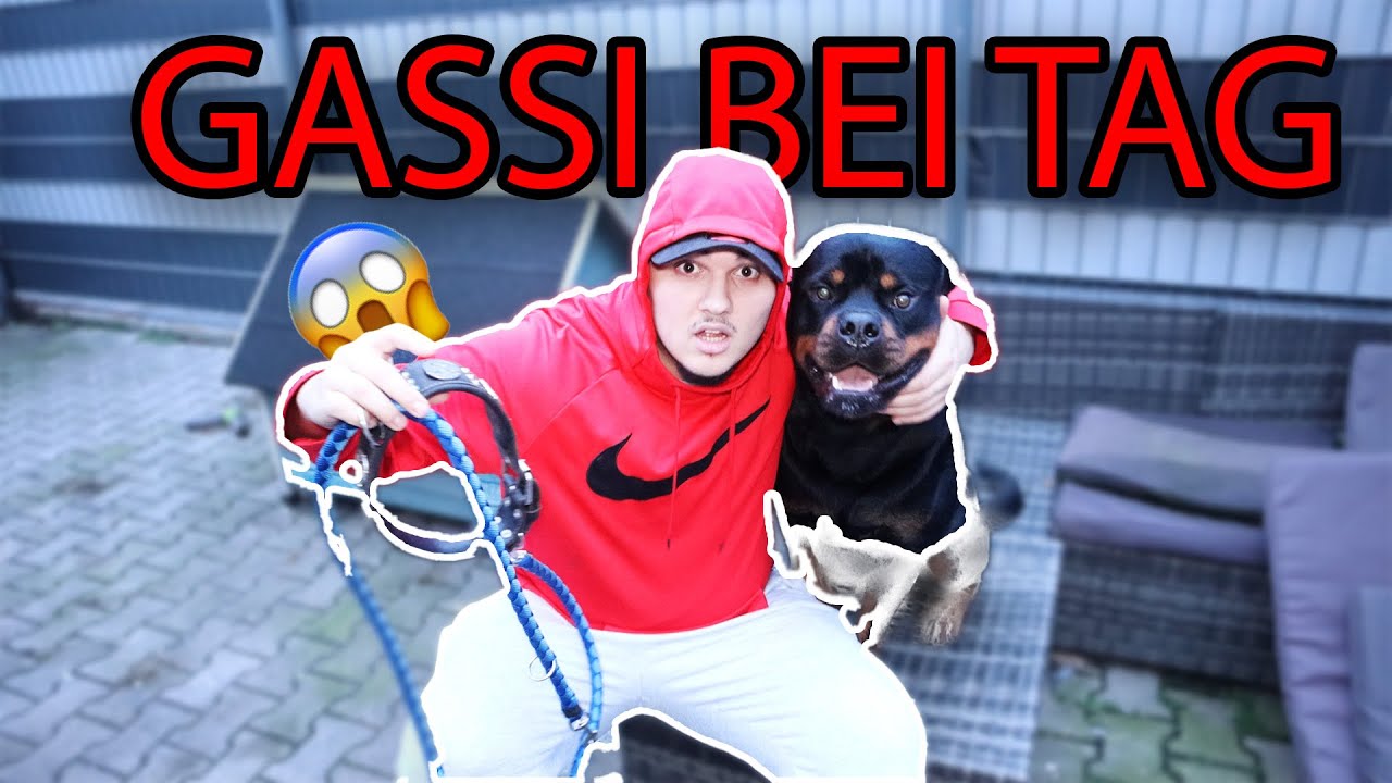 Canelo‘s Gassi Routine 🐶😱 (Part2)