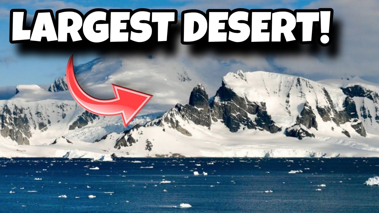 Sahara vs Antarctica | Largest Desert in the World