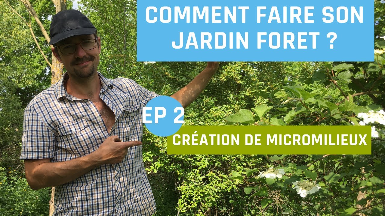 Comment faire son jardin foret ? (episode 2) Création de micro milieux