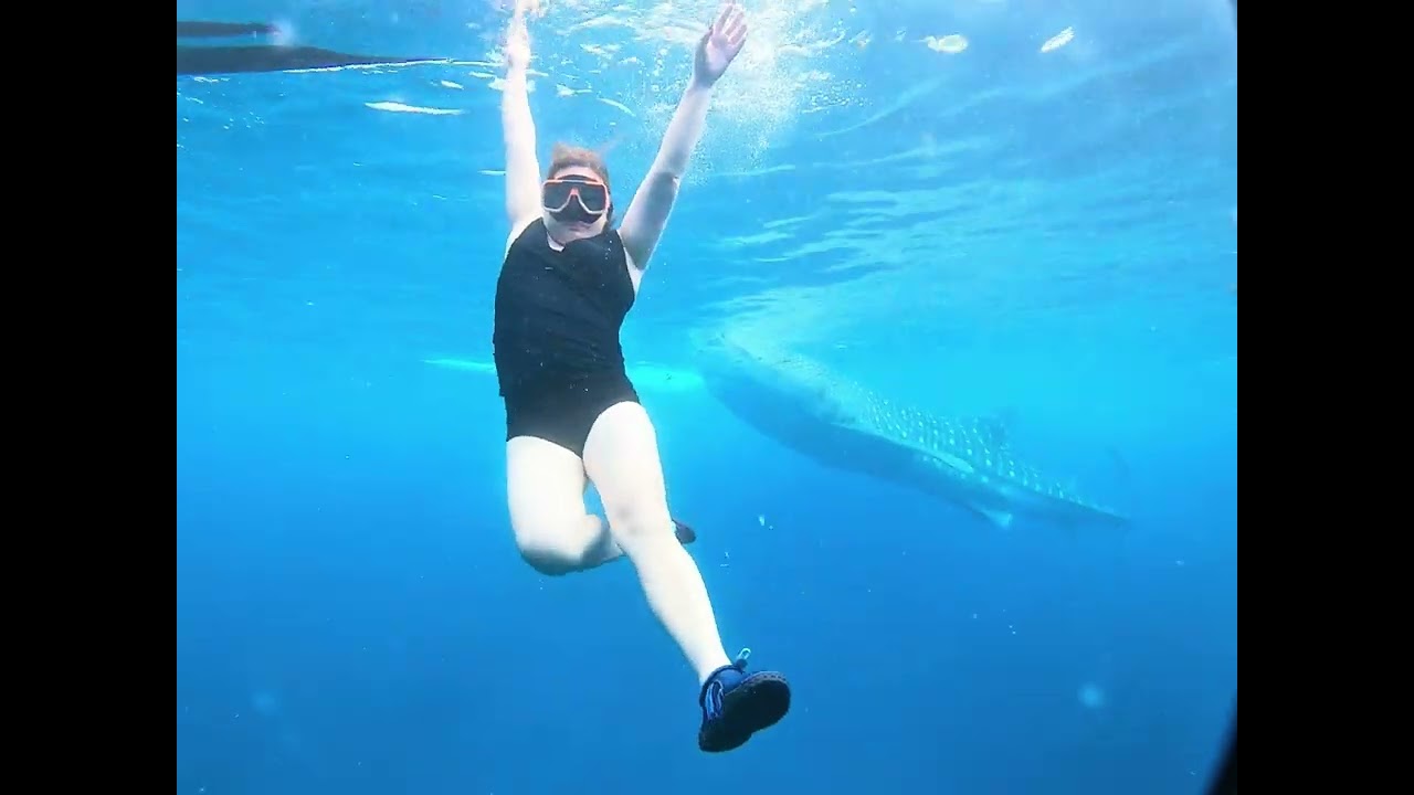 Oslob swims with the whales 🇵🇭