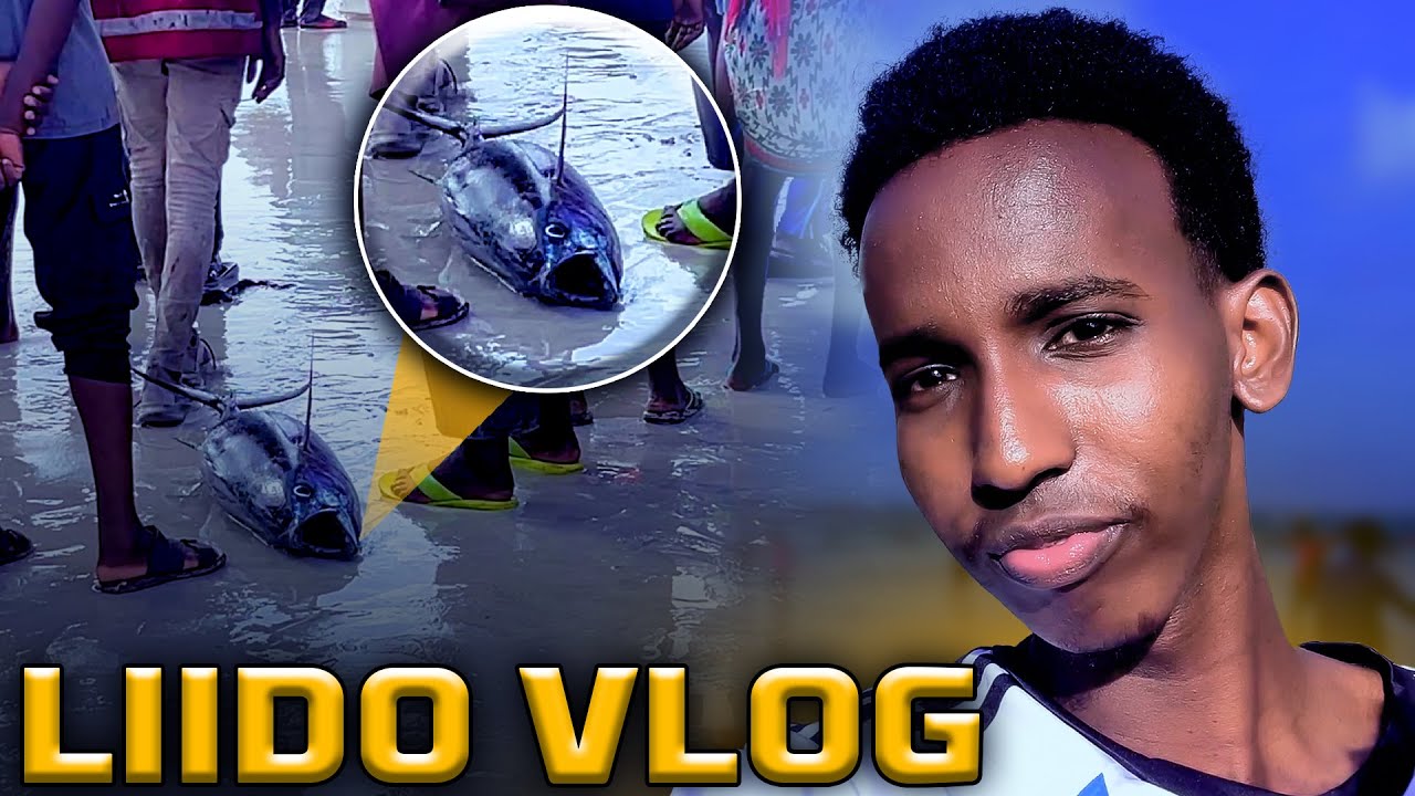 VLOG LIDIO BEACH И КАКОВА АТМОСФЕРА В ПЯТНИЦУ? VLOG 11 #salaamc91
