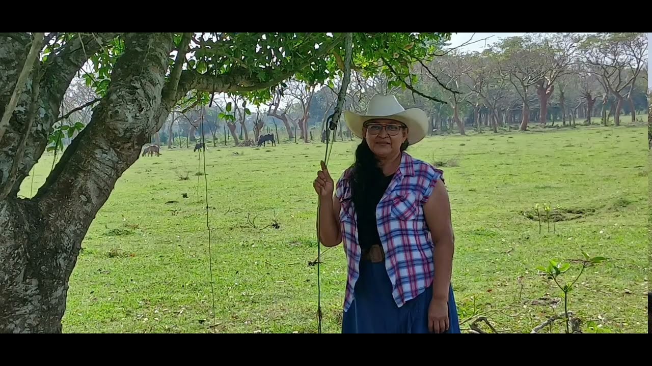 #músic ranchera@nancymoraleshernandez,autora del tema.