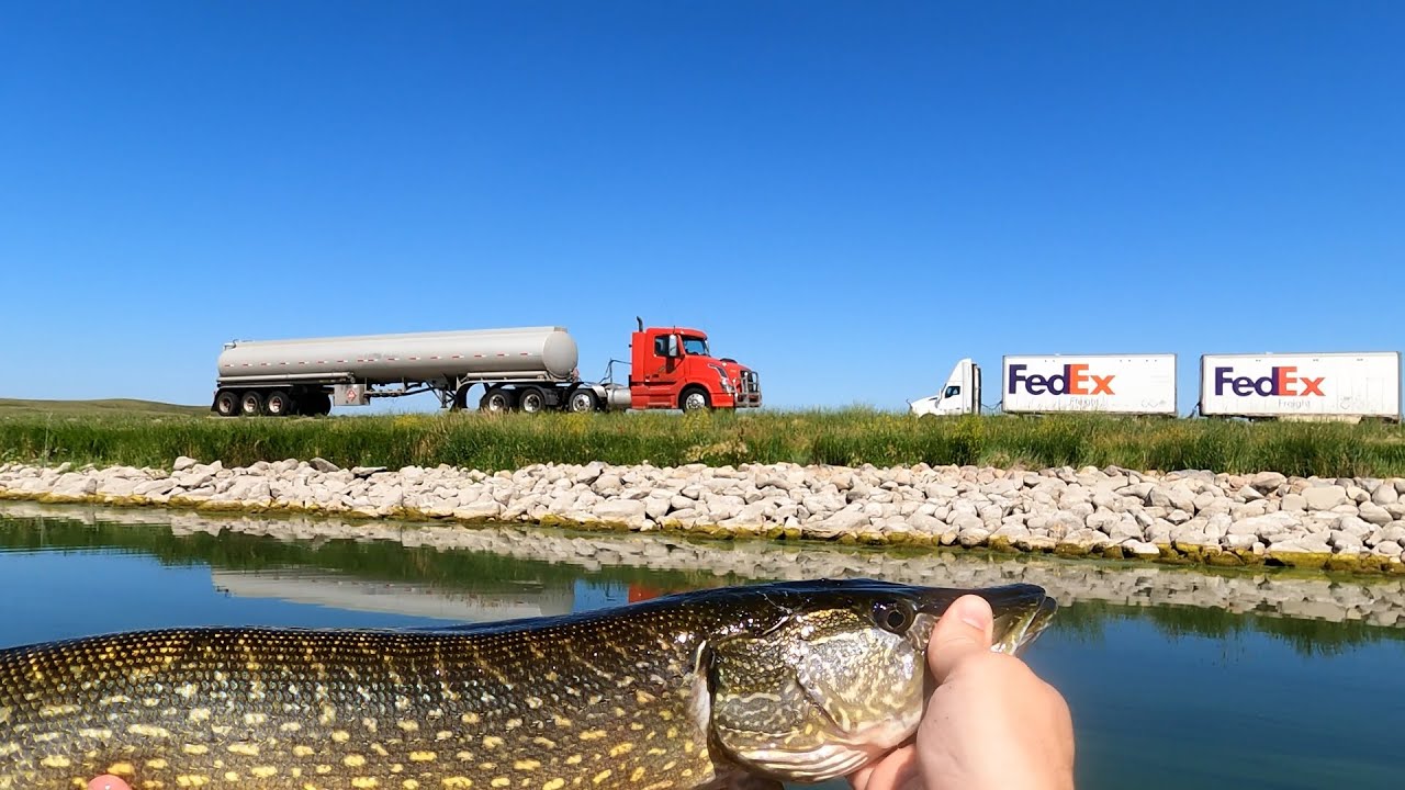 Chompin Pike and Honkin Semi's - ft NDYAKANGLER