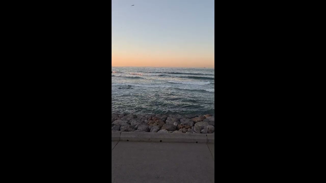 Atlantic Ocean Waves with Cargo Ships on the Horizon at Sunset 🌅🌊