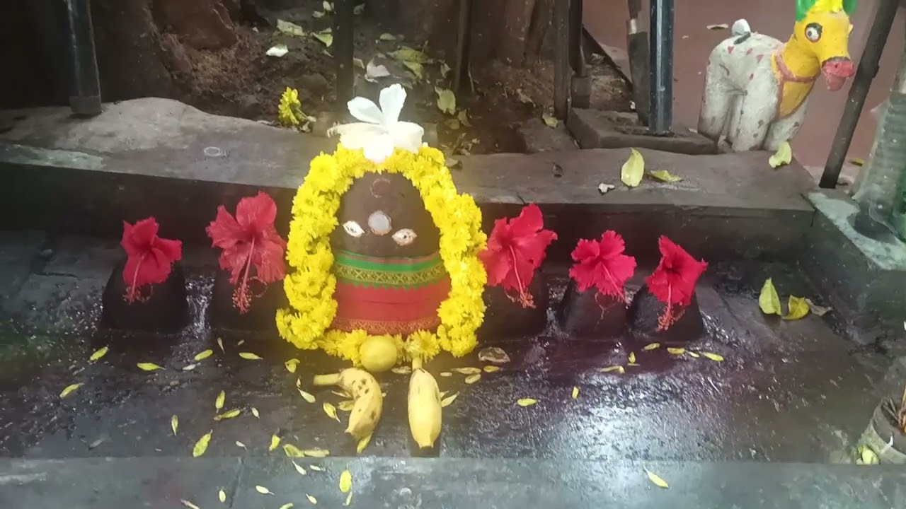 கருப்பராயன் கோவில்#  கருப்பசாமி# முத்தரையர் & முத்துராஜா குலதெய்வம்# muthuraja & mutharaiyar Temple#