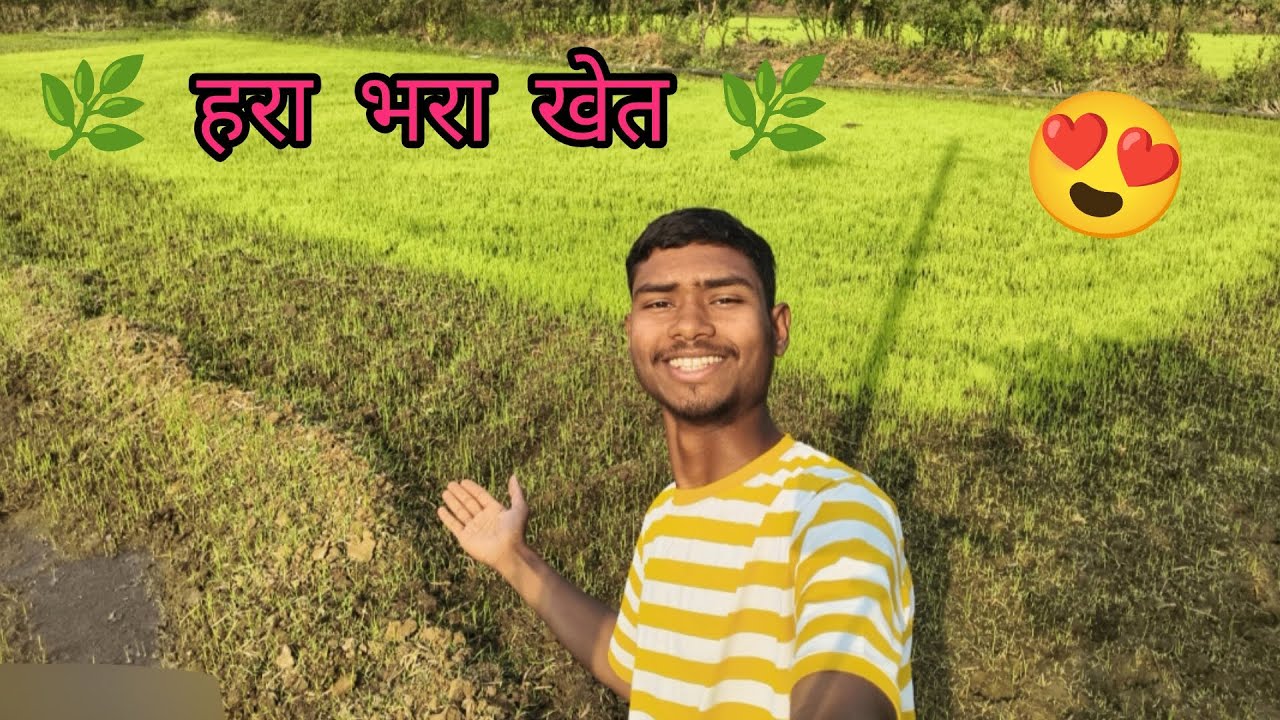 Hamara Pyara Sa Khet 🙂 Day 177/500
