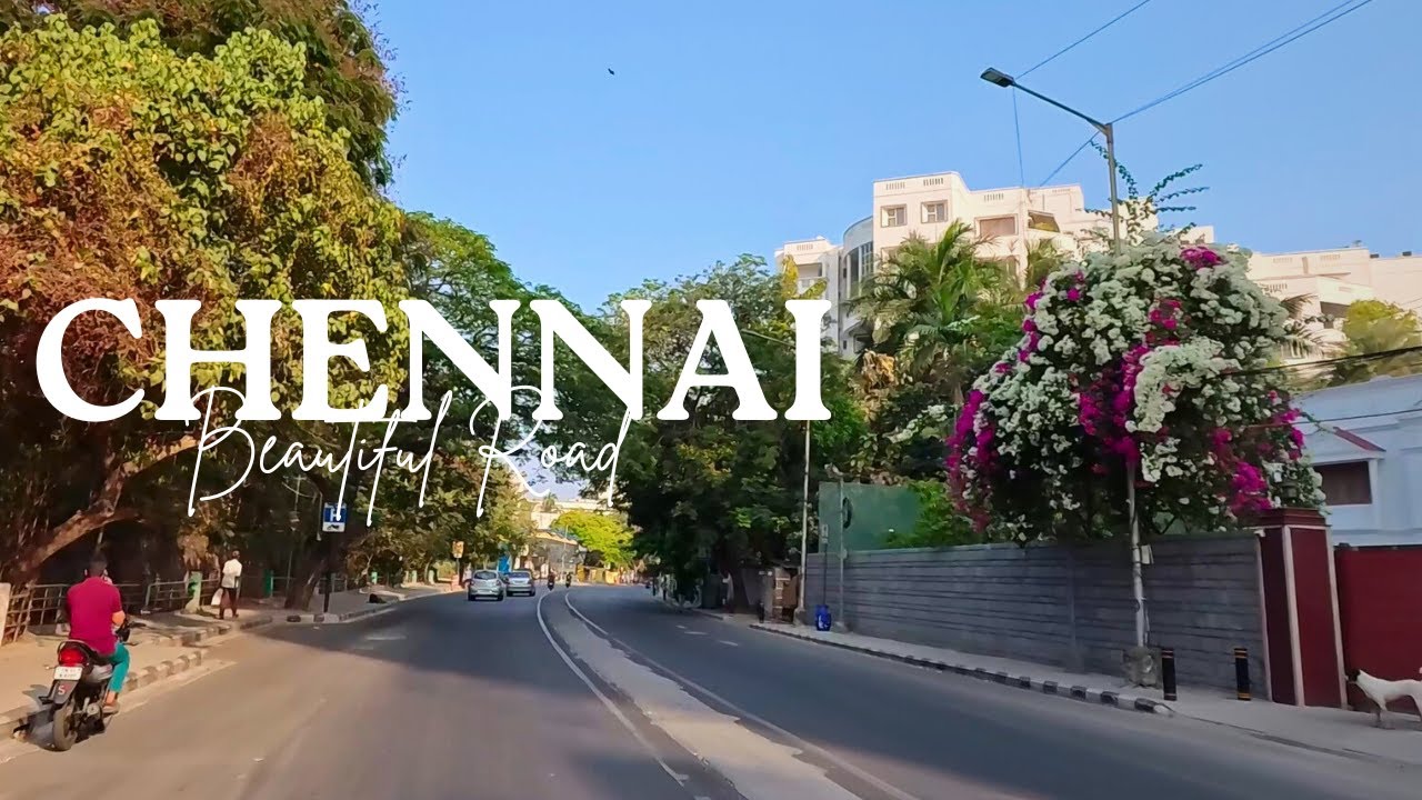 Chennai Beautiful Morning Drive | RA Puram [4K]