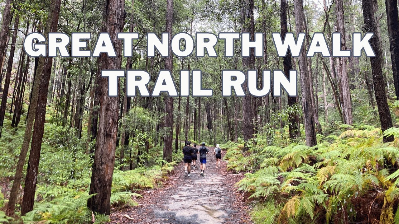 Technical Trail Run Following the Great North Walk (Part of Sydney-Newcastle)