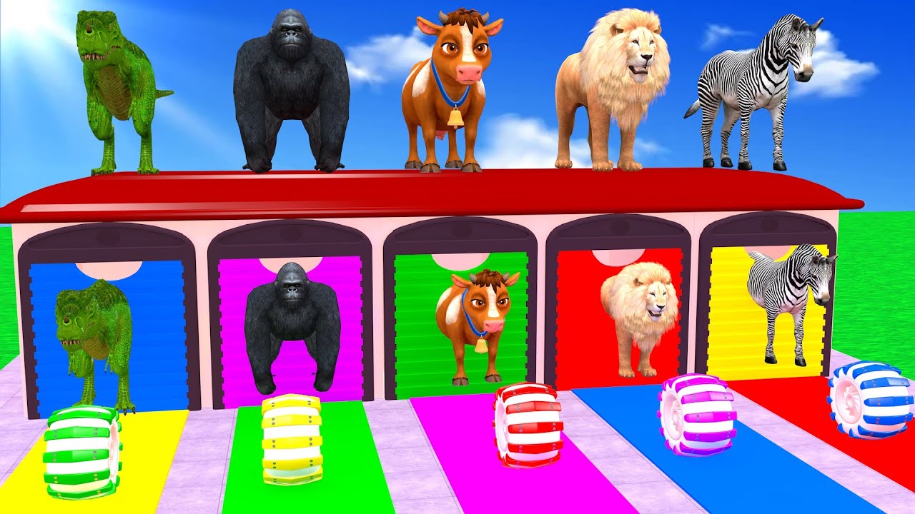 Best Long Slide Game With Elephant Gorilla Buffalo Hippopotamus Tiger 3d Animal Game Funny 3d Animal