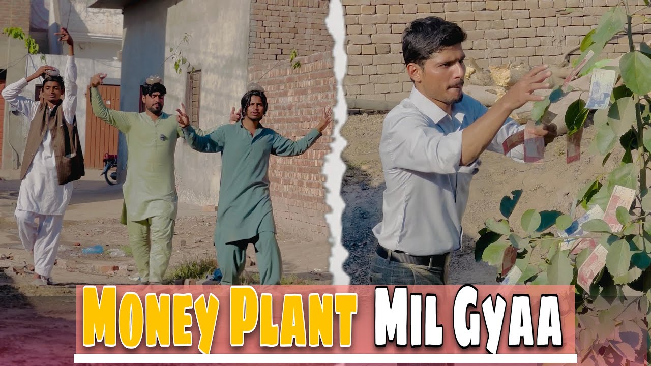 Paisoon Wala Podaa Mil Gyaa😱 Money Plant🤣🤣￼