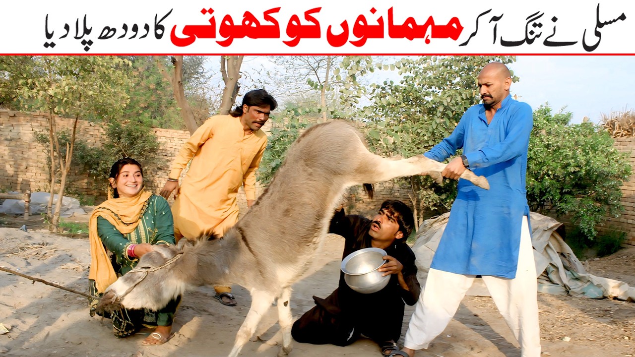Khotti Da Dudh/Bhootna_Sundri_Gullo Musali_