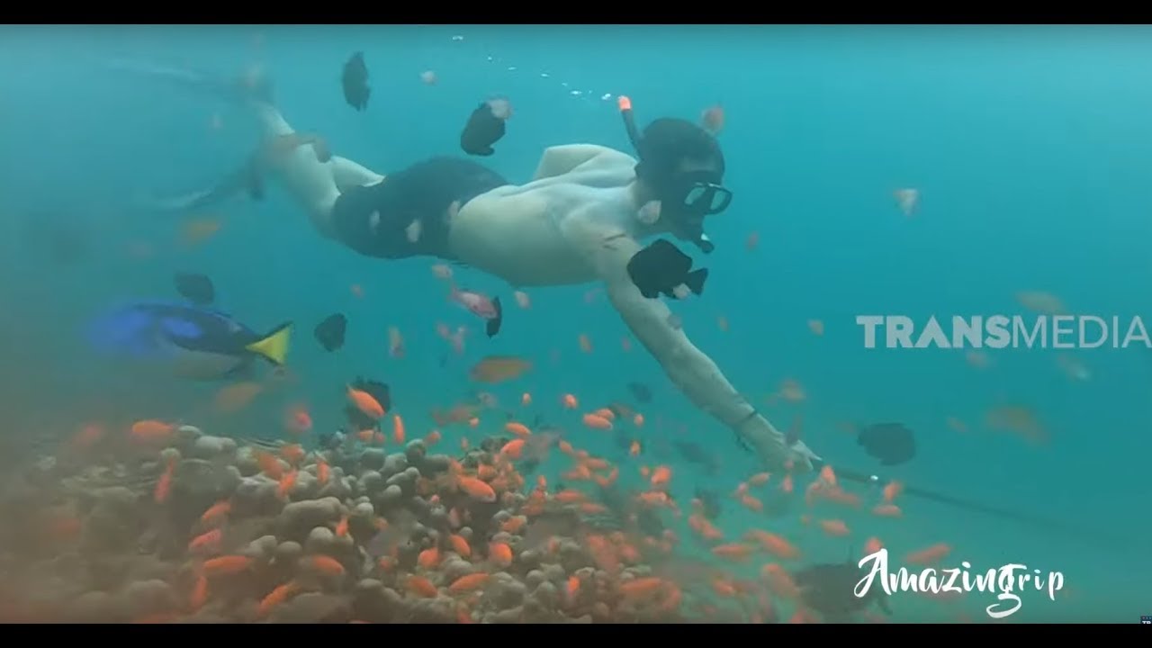 Keindahan Bawah Laut Aceh | AMAZING TRIP (29/12/19) | Part 1