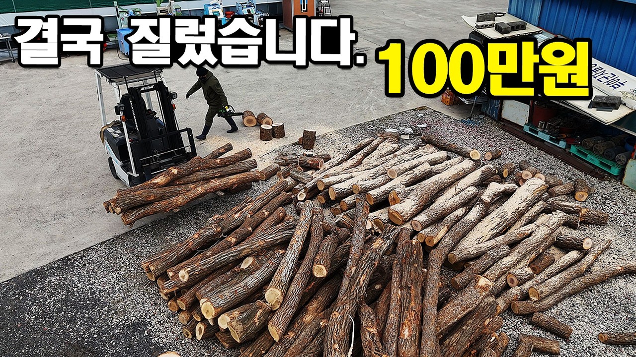 결국 참나무 장작 100만원치 질렀습니다. (화목난로/화목보일러)