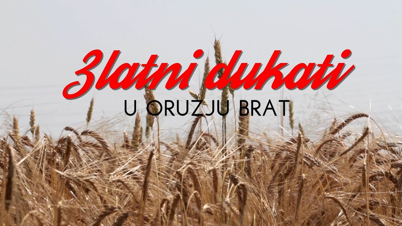 Zlatni dukati - U oružju brat (Official lyric video)